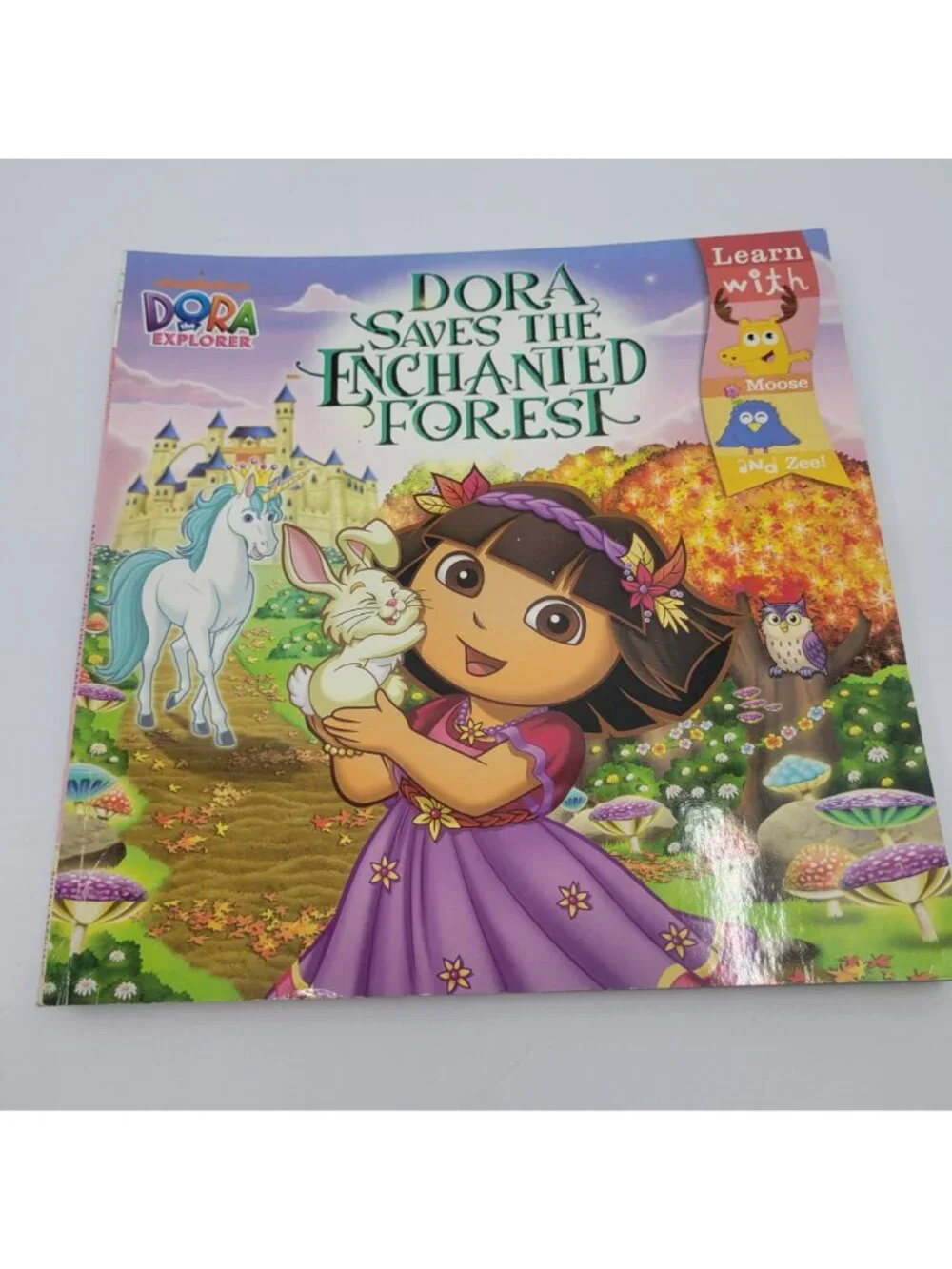 Dora the Explorer Lot of Children's Books - BK080